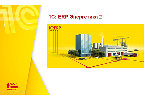1С:Предприятие 8. ERP Энергетика 2